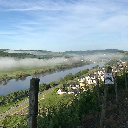Wein- Und Gaestehaus Genetsch Lieser Exteriör bild