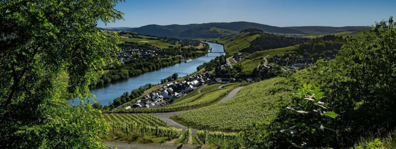 Wein- Und Gaestehaus Genetsch Lieser Exteriör bild