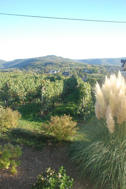 Wein- Und Gaestehaus Genetsch Lieser Exteriör bild