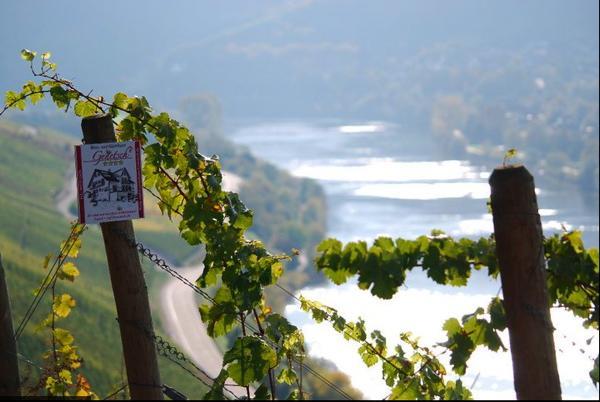 Wein- Und Gaestehaus Genetsch Lieser Exteriör bild