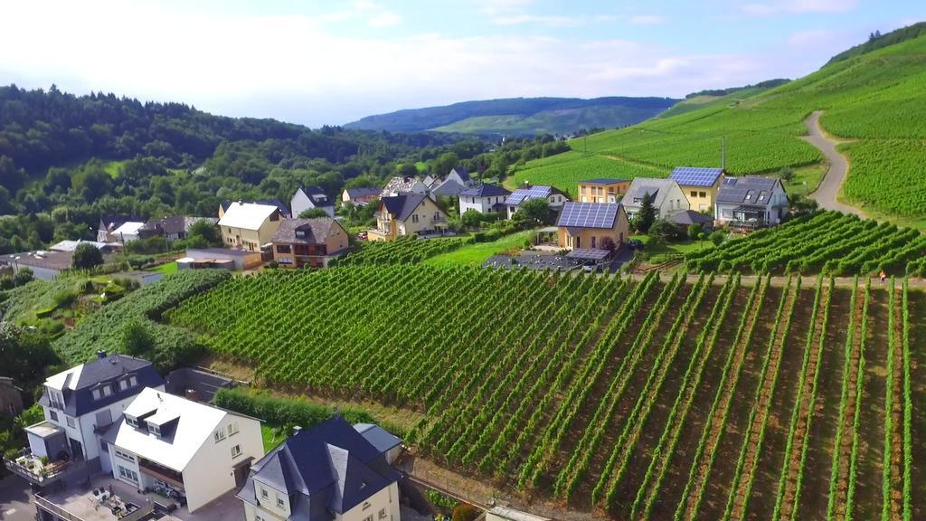 Wein- Und Gaestehaus Genetsch Lieser Exteriör bild