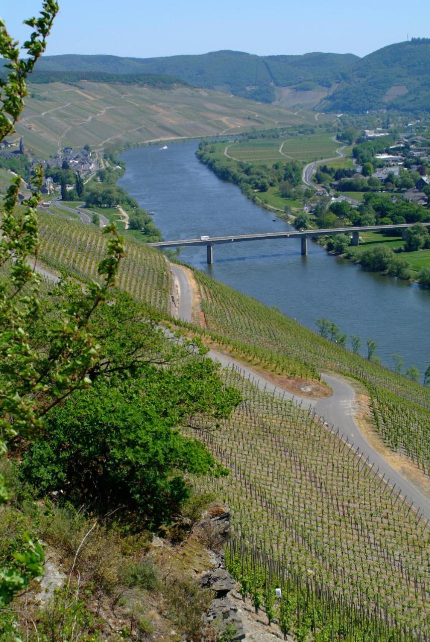 Wein- Und Gaestehaus Genetsch Lieser Exteriör bild