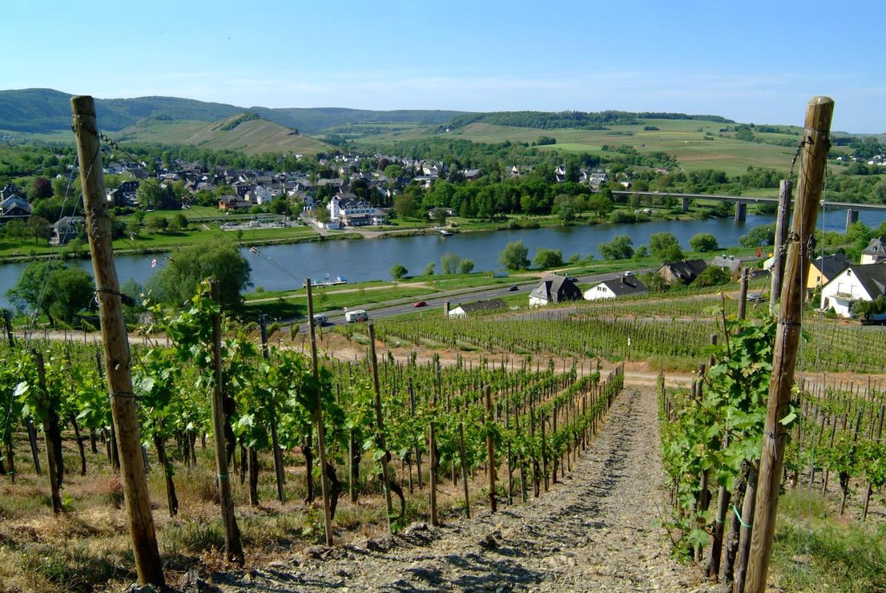 Wein- Und Gaestehaus Genetsch Lieser Exteriör bild