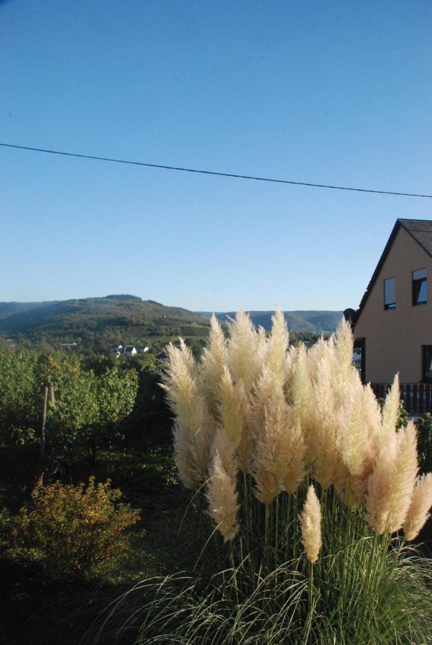 Wein- Und Gaestehaus Genetsch Lieser Exteriör bild