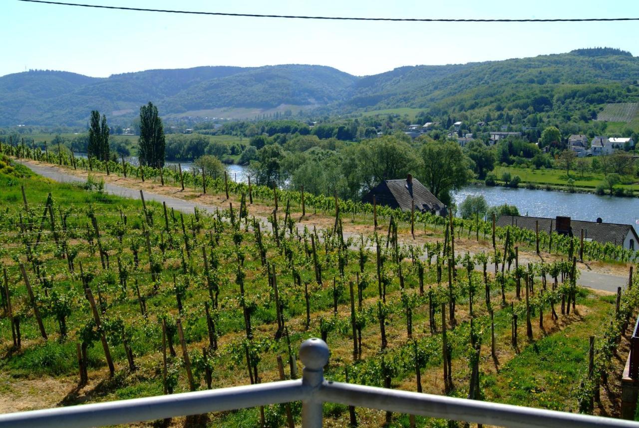 Wein- Und Gaestehaus Genetsch Lieser Exteriör bild