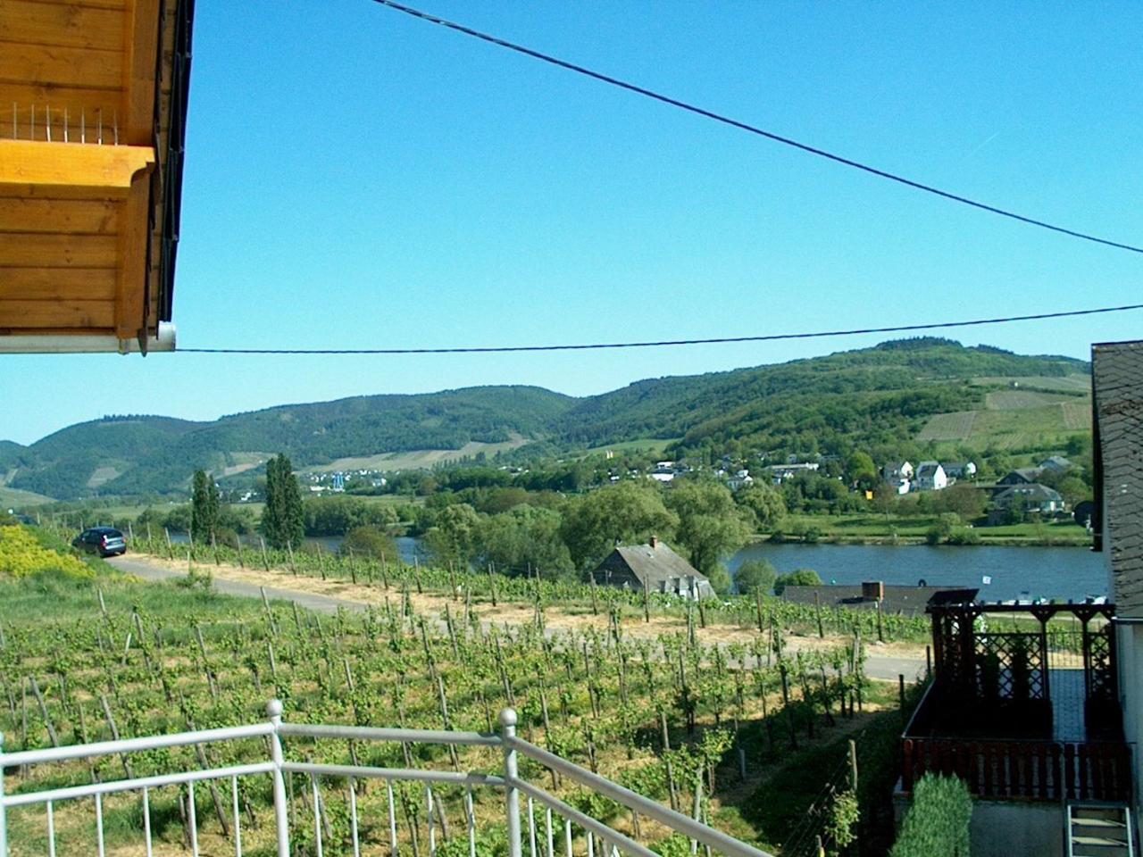 Wein- Und Gaestehaus Genetsch Lieser Exteriör bild