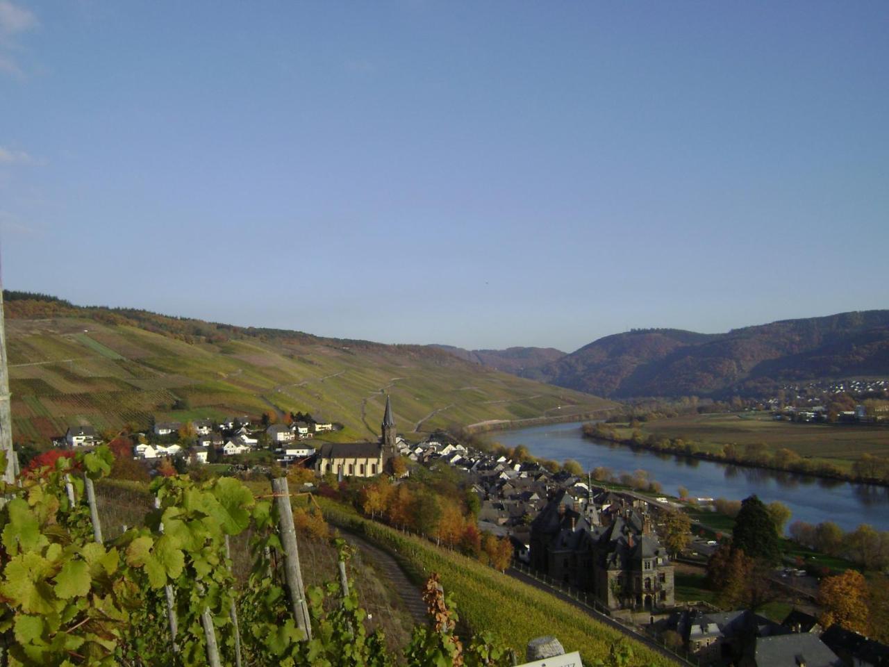 Wein- Und Gaestehaus Genetsch Lieser Exteriör bild
