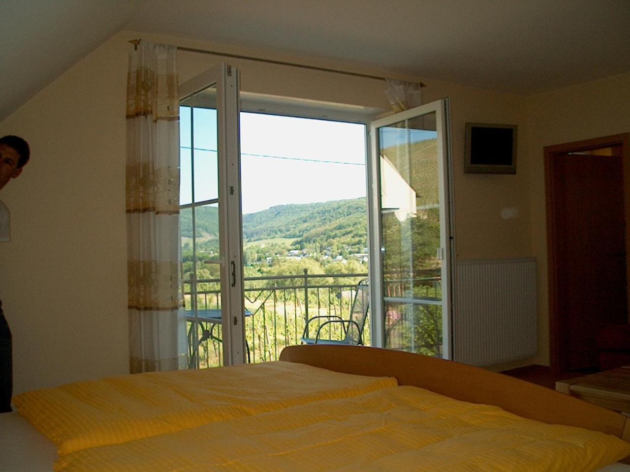 Wein- Und Gaestehaus Genetsch Lieser Exteriör bild