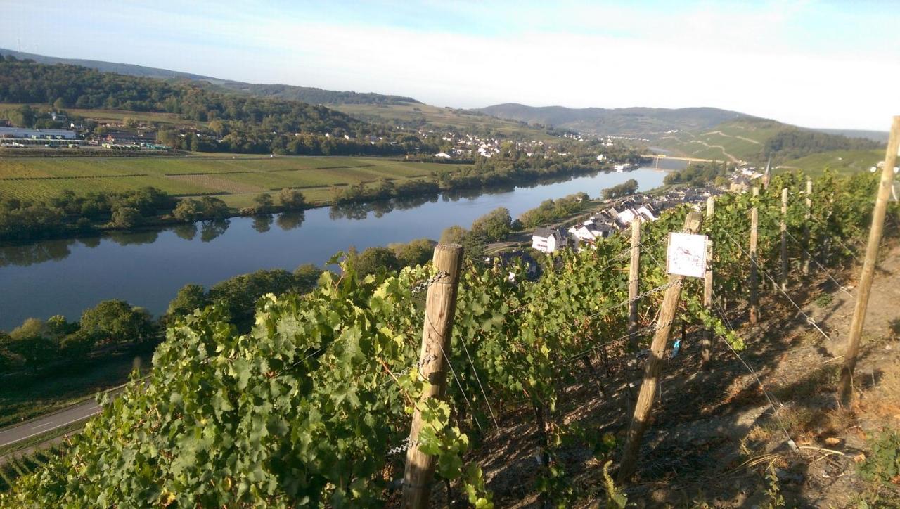 Wein- Und Gaestehaus Genetsch Lieser Exteriör bild