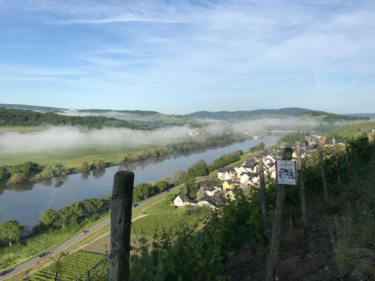 Wein- Und Gaestehaus Genetsch Lieser Exteriör bild
